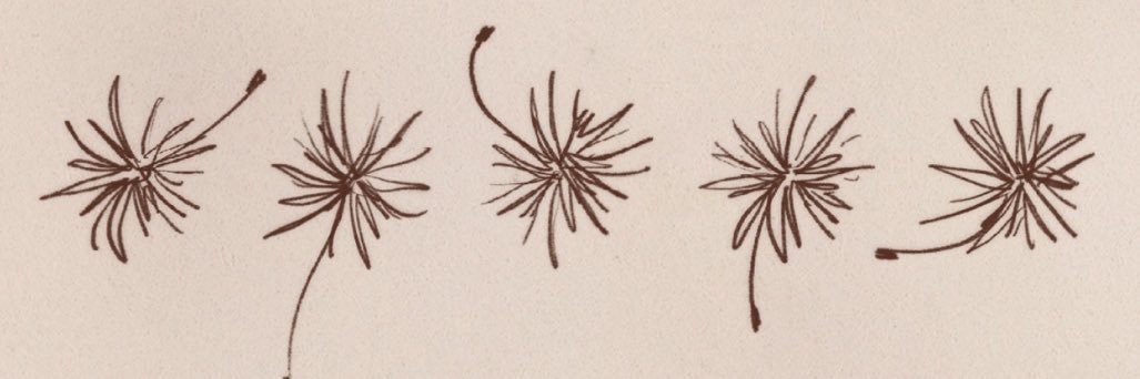 𝘮𝘪𝘯𝘢🌙*ﾟ banner