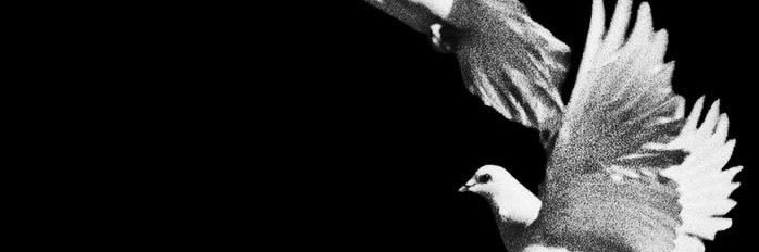 xpinixn's profile banner image
