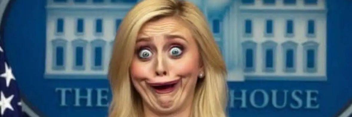 Christian Democrat ✝️ banner