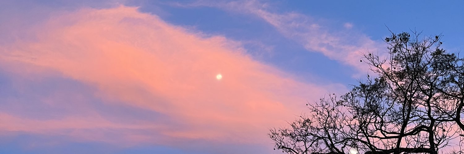 ro_bruschini's profile banner image