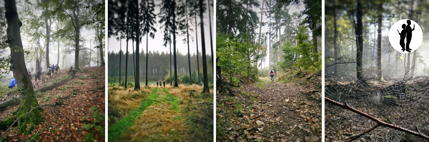 Christophe Pirate banner