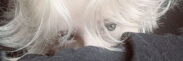 ℱ𝒶𝒾ℊℯ𝓁🍂 banner