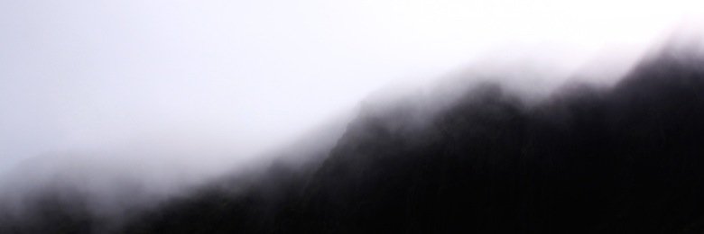 aelia786's profile banner image
