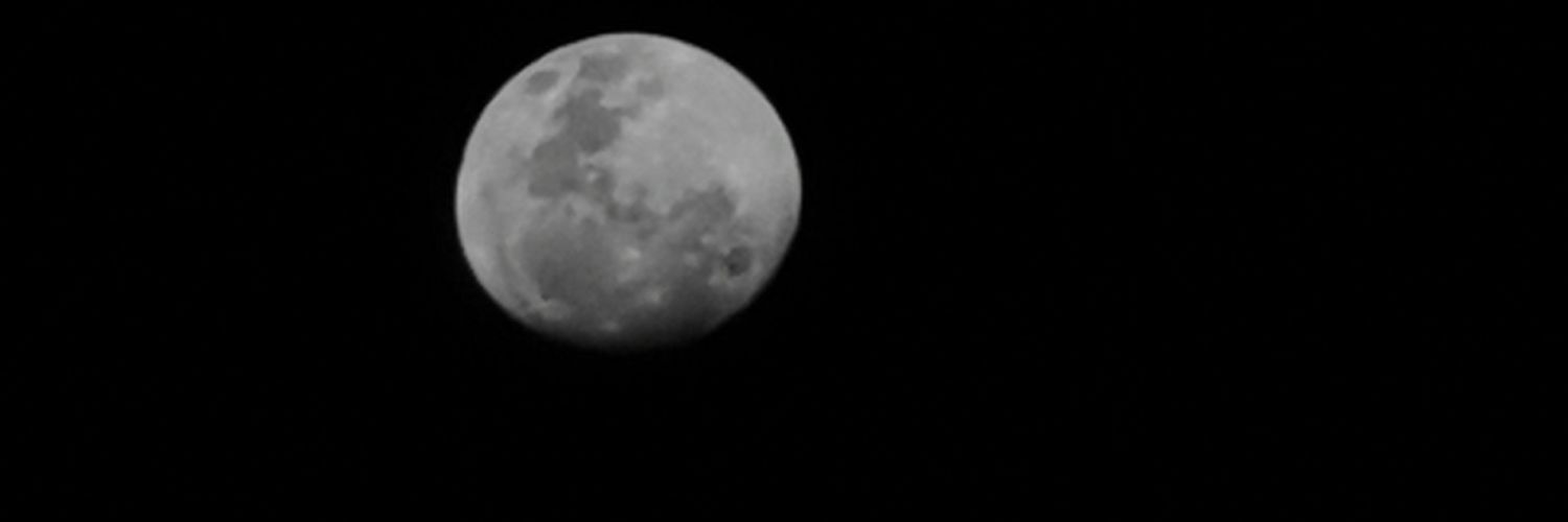 n3xiii's profile banner image