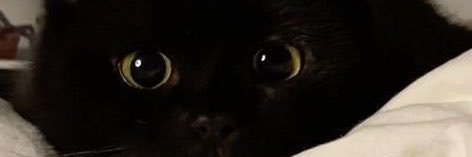 y0j0042's profile banner image