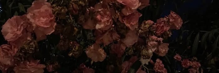 r0se_wraith's profile banner image