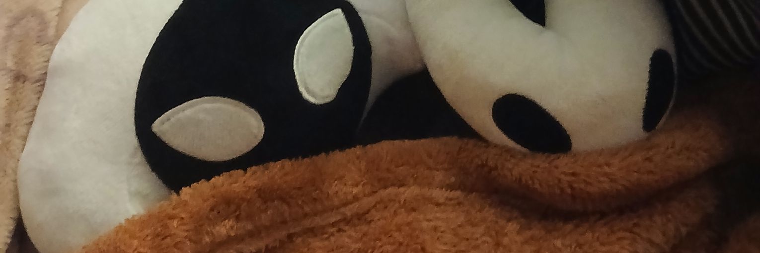 hornet banner
