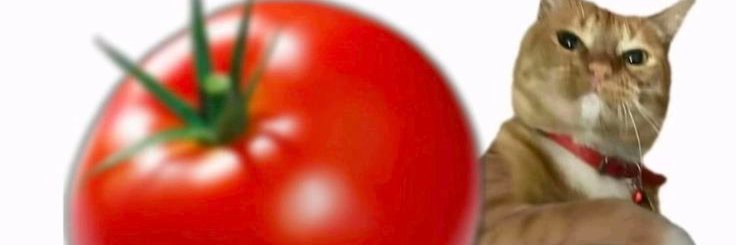 lesdoesart banner