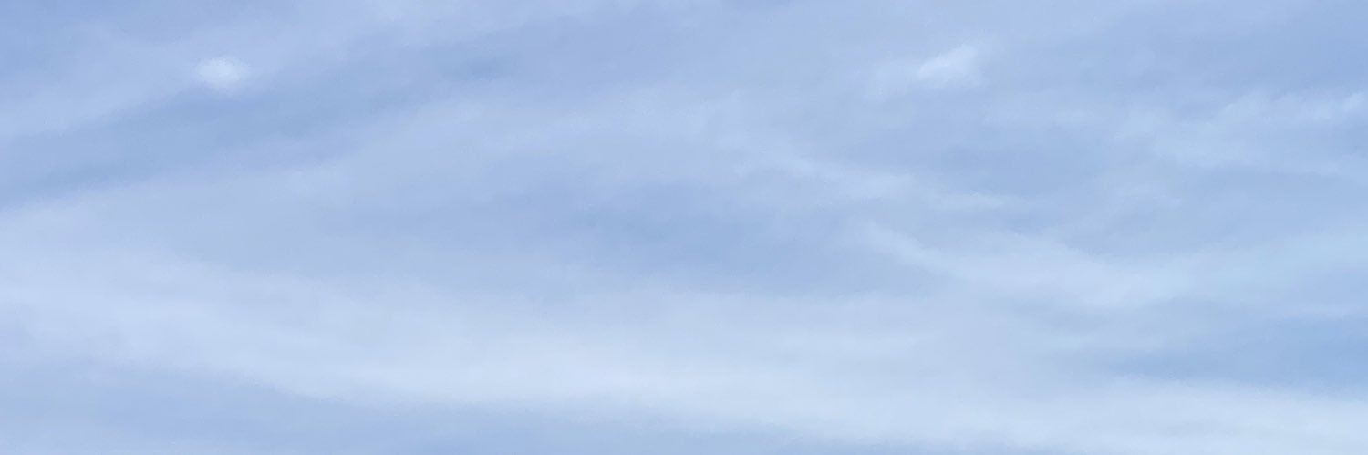 BBSurvivorTraitorsChallengeGirl banner