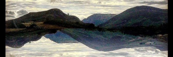 grimesadhesif Profile Banner