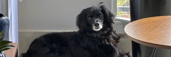 DinDuarte Profile Banner