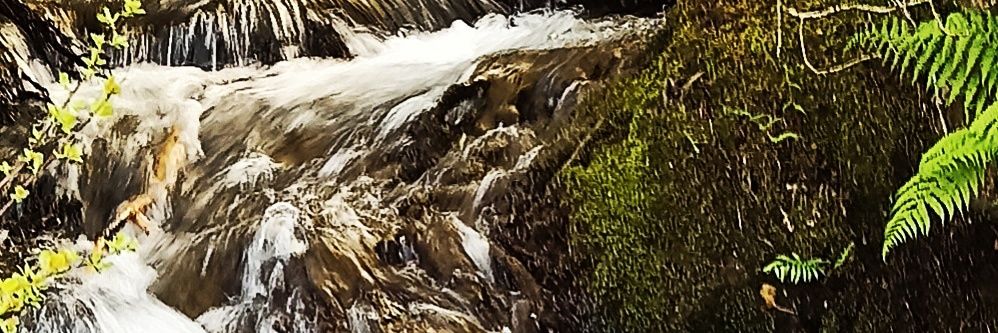 MIGUEL AREAN MIGUEZ banner