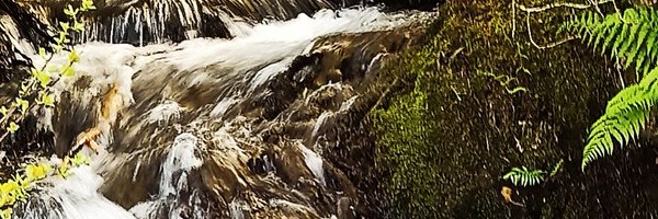 ZenjaOne Profile Banner