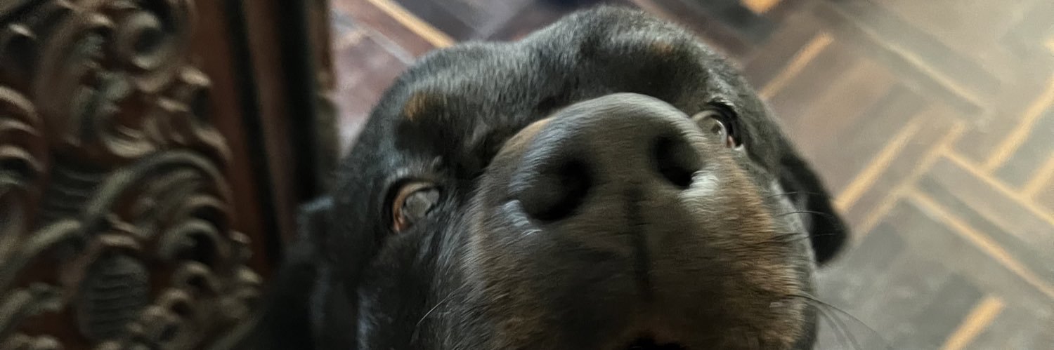 claudialeon_1's profile banner image