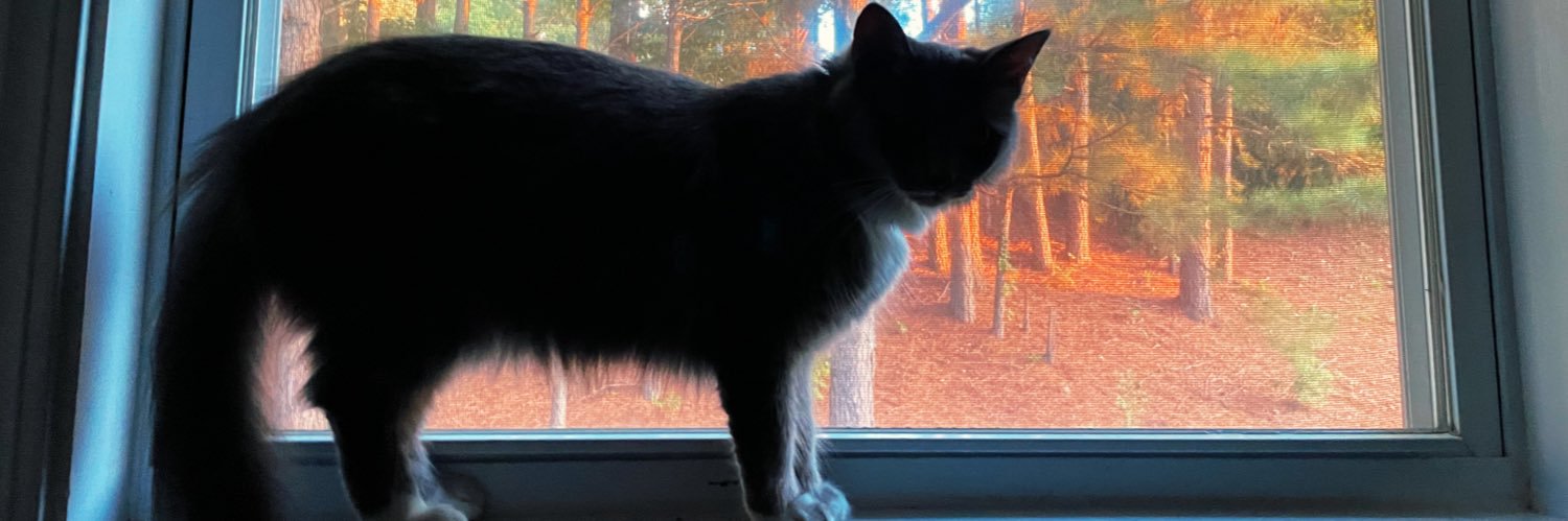 pamelarotten_'s profile banner image