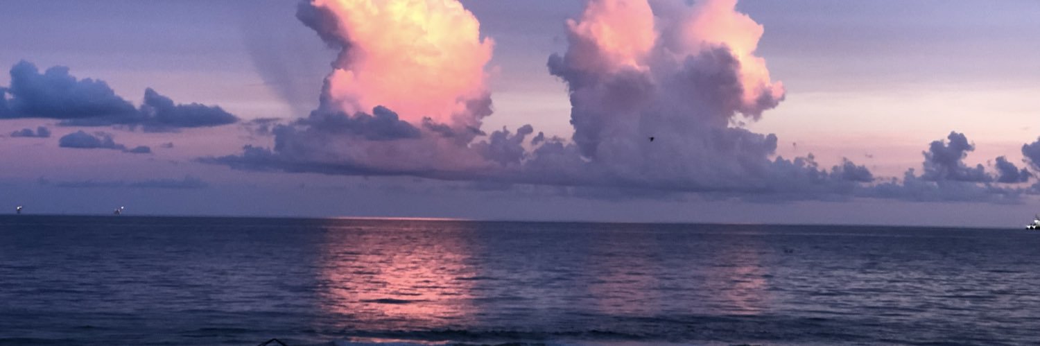 wcsRenHighjg's profile banner image