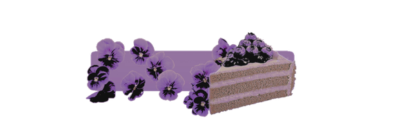bollitodeamor Profile Banner