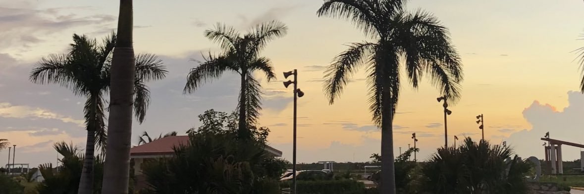 Peyton banner