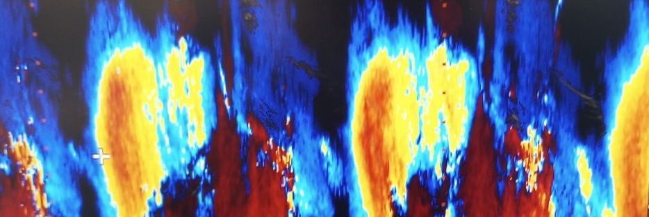 Reed Kamyszek, MD banner