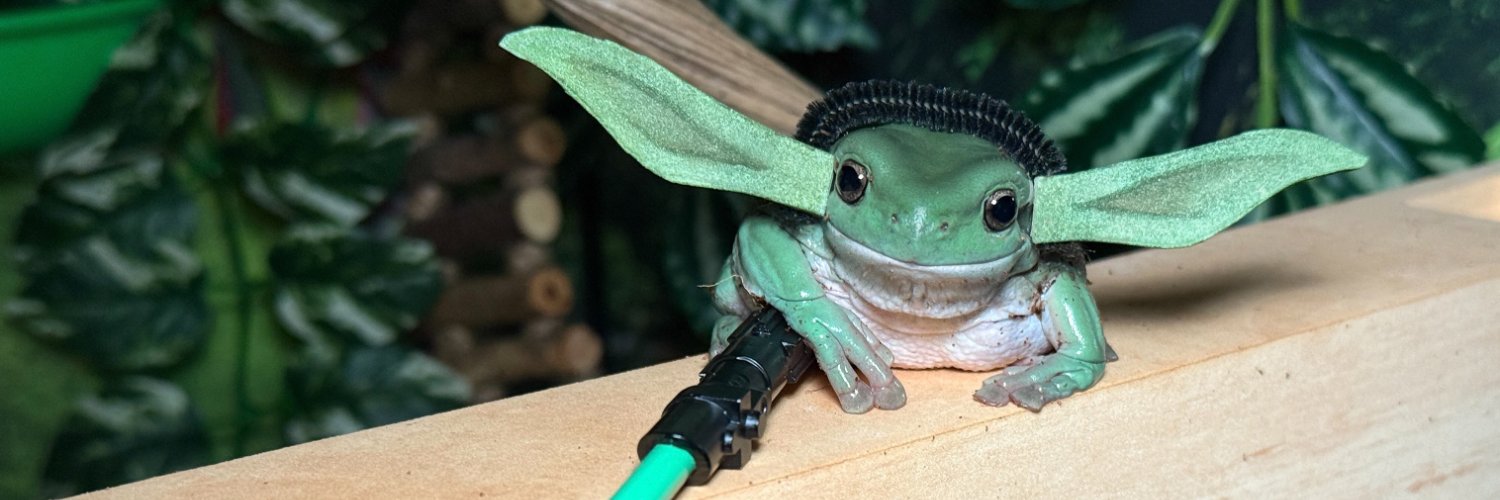Hyperspace Frogs 🐸🚀's banner