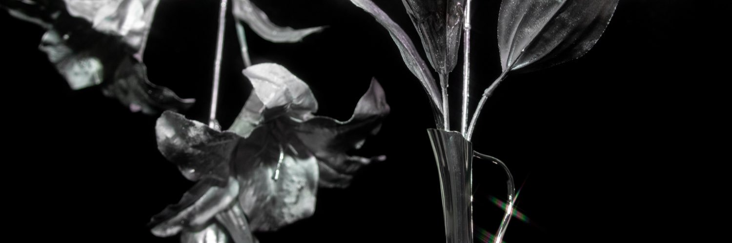 mon_lys_blanc's profile banner image