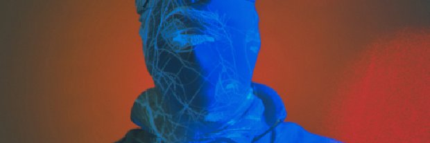 wiseolebird.eth banner