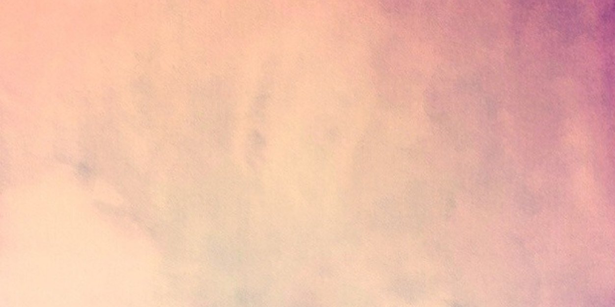 liefseva's profile banner image