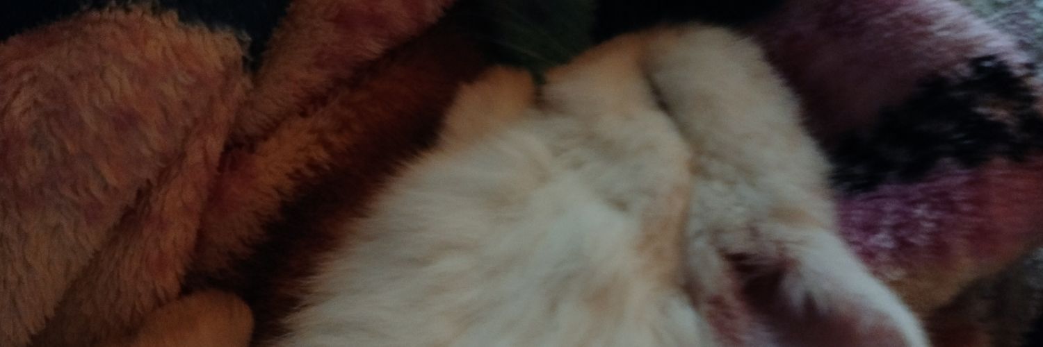 Noodle(El&)'s banner