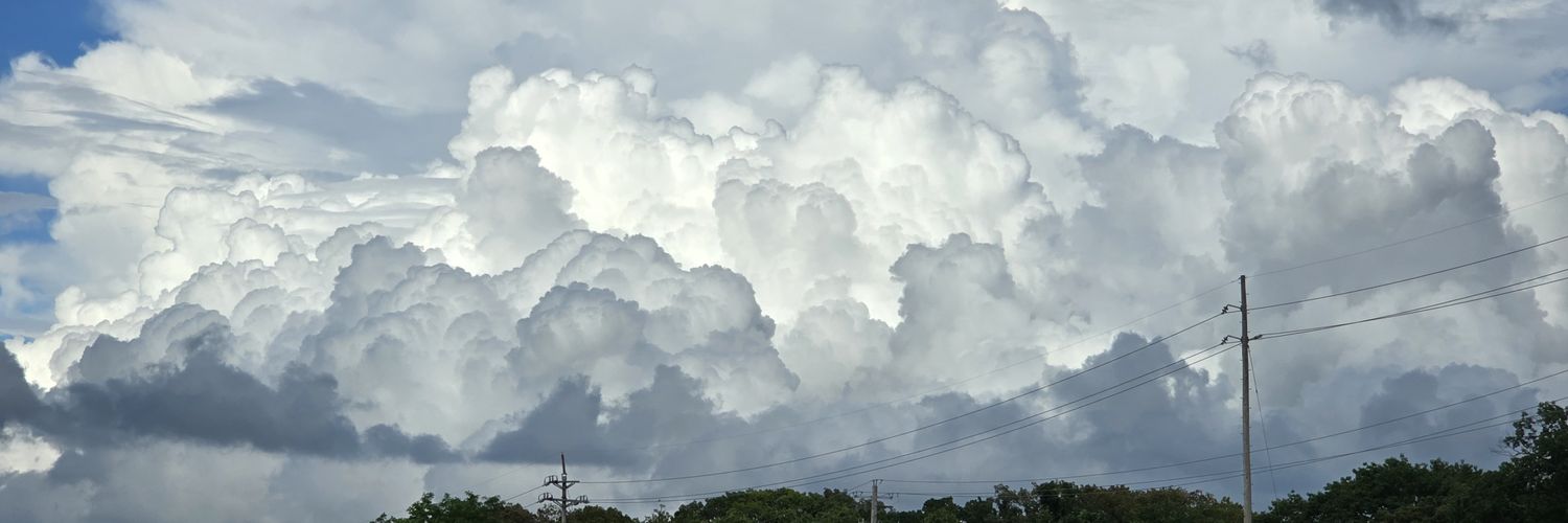 SunsetButterfly banner