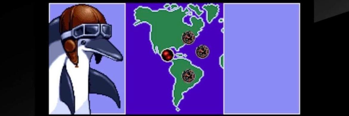 Tacocoz's banner