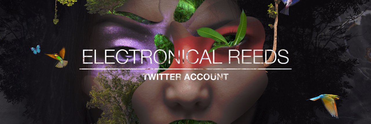 electronicalree's profile banner image