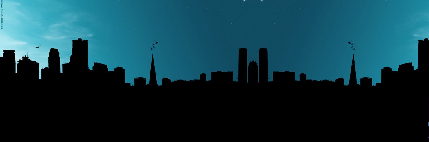 erdemgtr's profile banner image