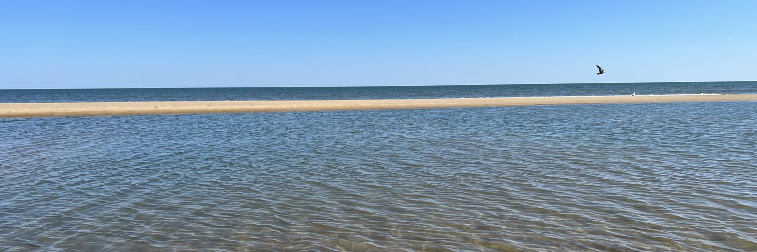 Carl Dea ⒻⓍ🕊 banner