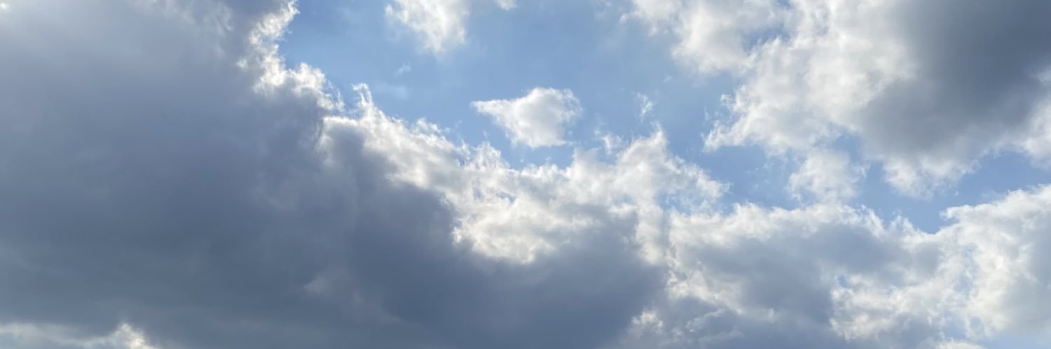 c⋆˚𝜗𝜚˚⋆ banner