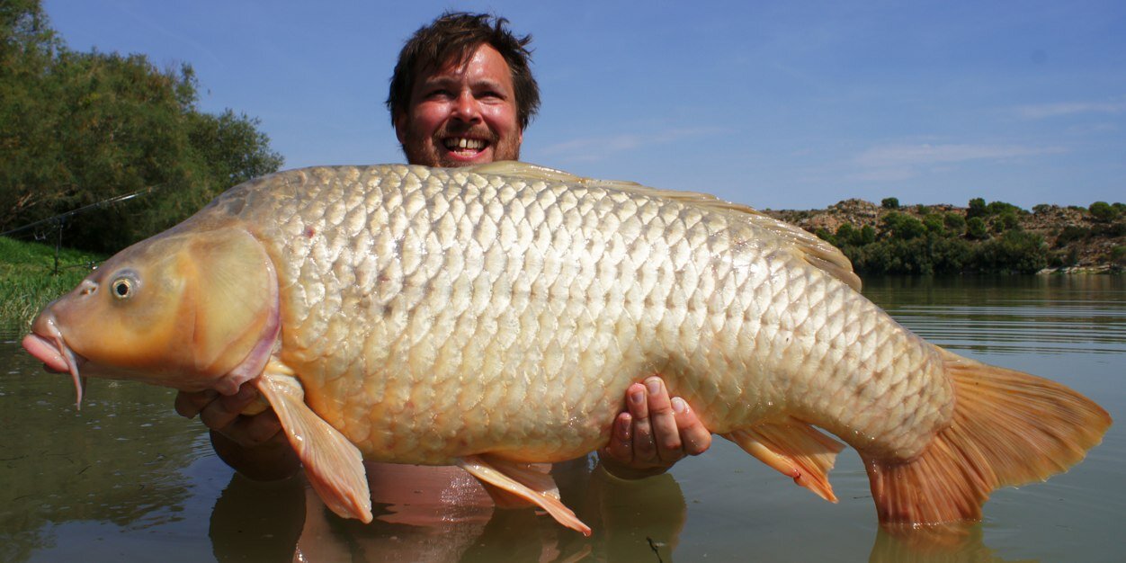 steven doherty banner