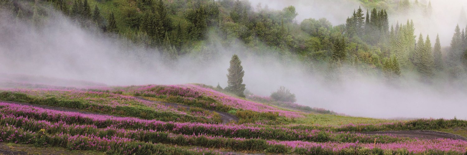 吴家碧玉（互） banner