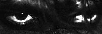 B banner