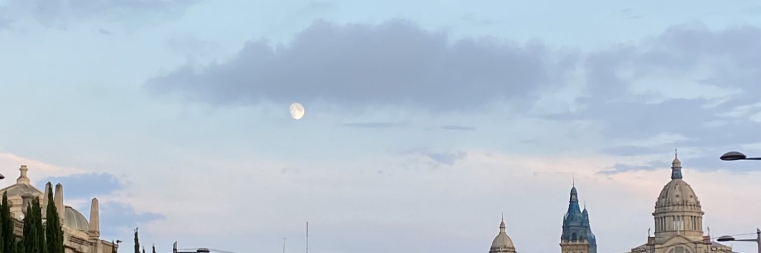 rebecaboscacci's profile banner image