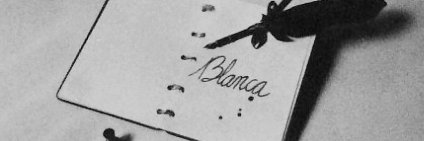 blaurora's profile banner image