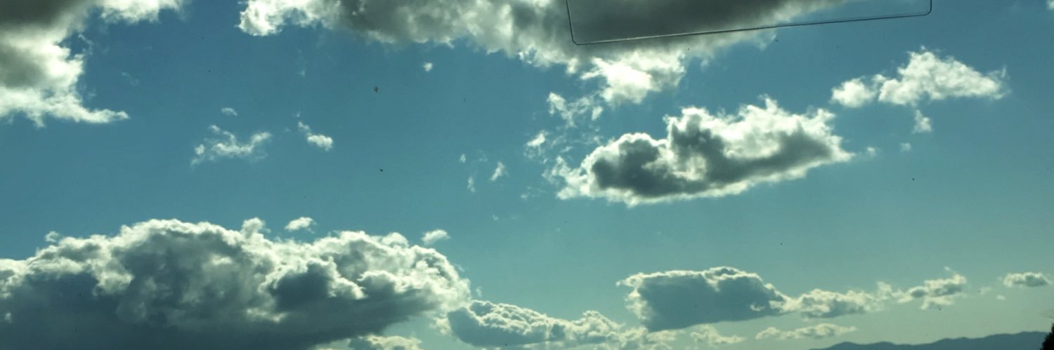 shilo___ioio's profile banner image