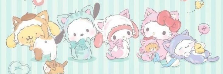 pocha_nano's profile banner image