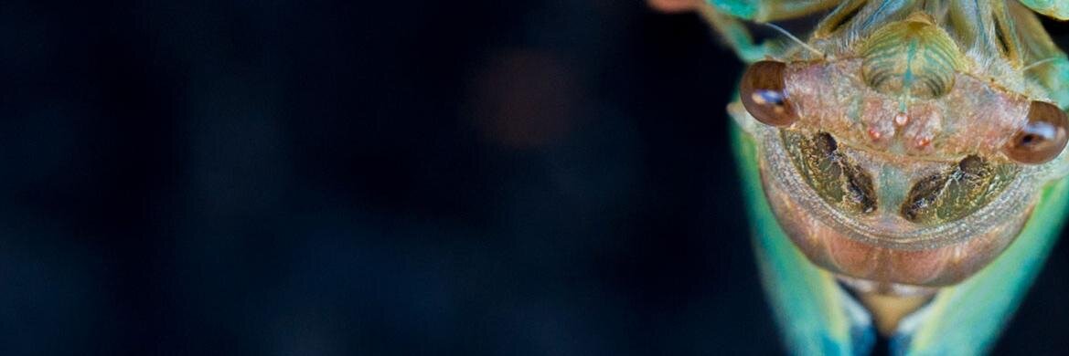 4n3w's profile banner image
