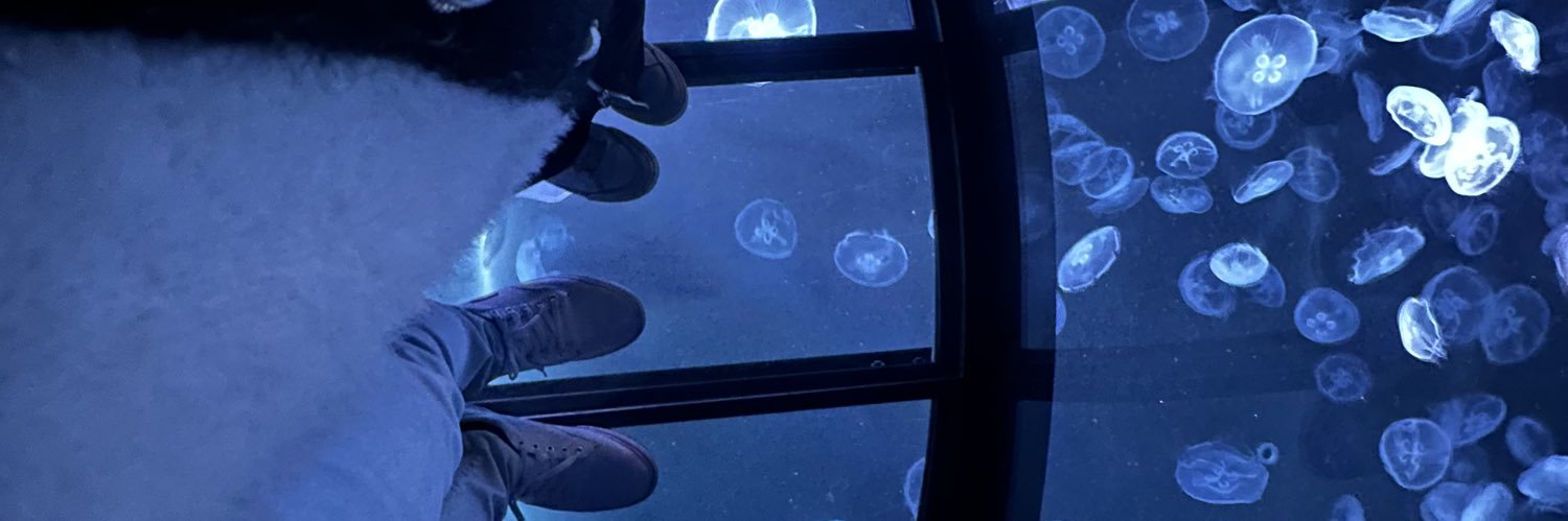 ozakigak's profile banner image
