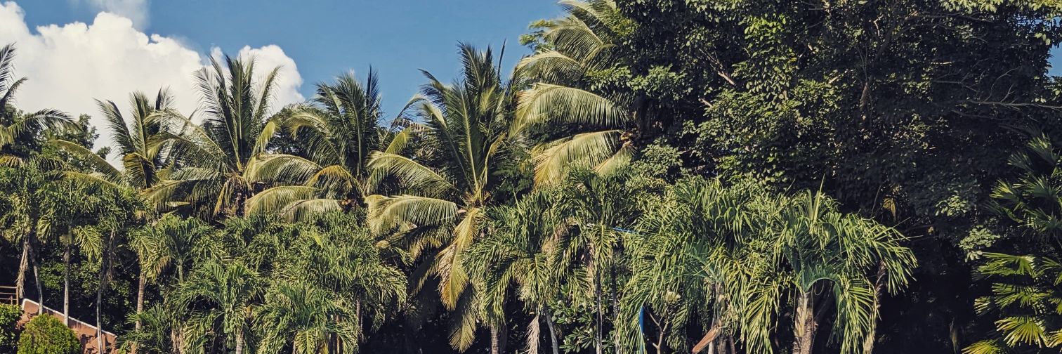 jeffbutts's profile banner image