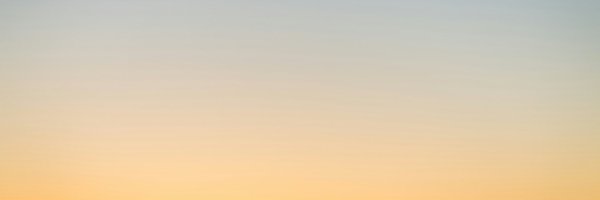ddavidrenshaw Profile Banner