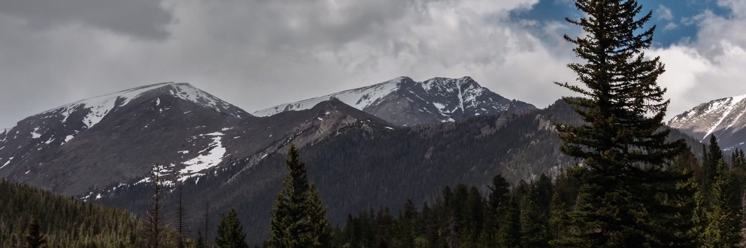 r0siee1919's profile banner image