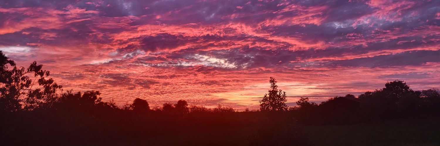 Le petit Dhjeebus banner