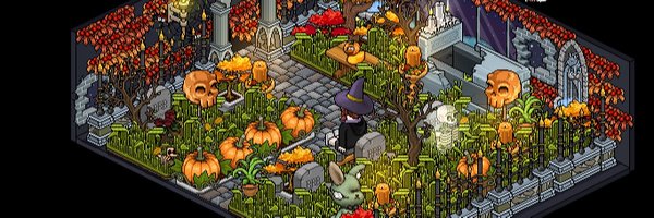 CleffaHabbo Profile Banner