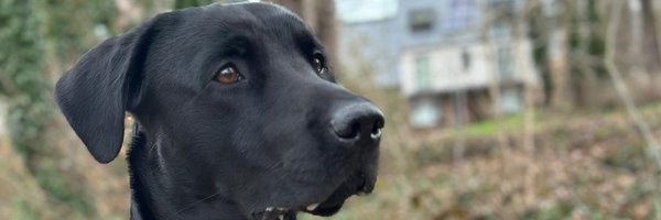 CryptChaz Profile Banner
