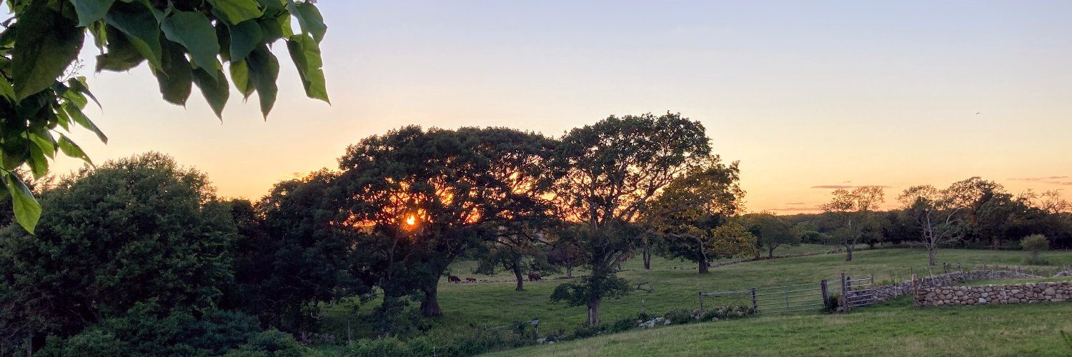 Arthur Kinsolving banner